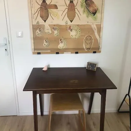 Apartamento 2 Dans Avec Jardin Seignosse