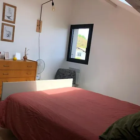 Apartamento 2 Dans Avec Jardin